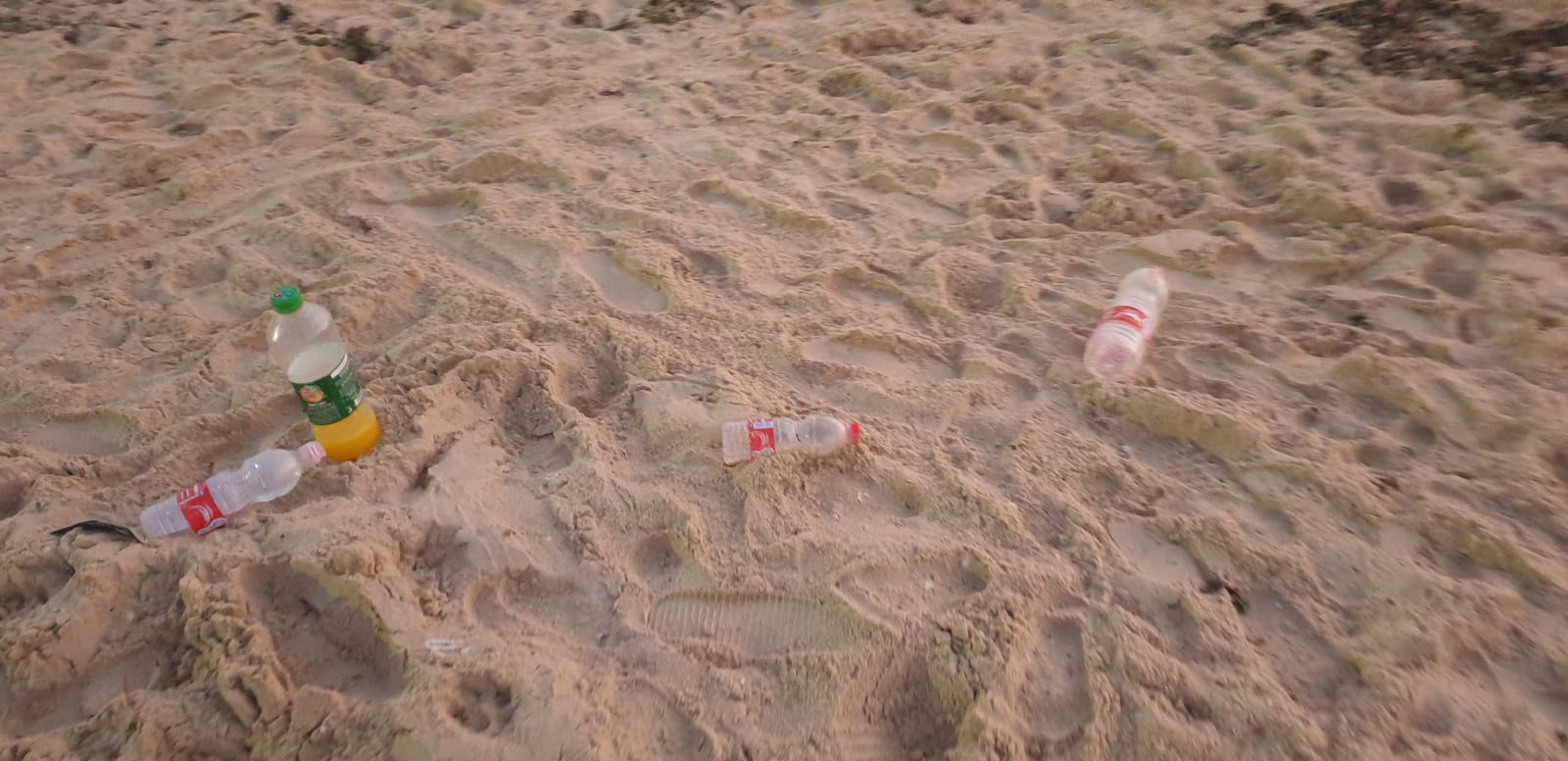 WhatsApp Image 2020-08-03 at 7.58.25 PM (2).jpeg.jpeg